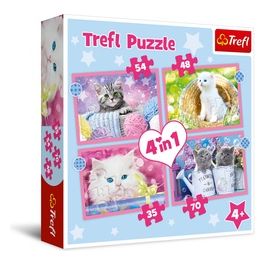 4 Puzzle In 1 - Fun Cats
