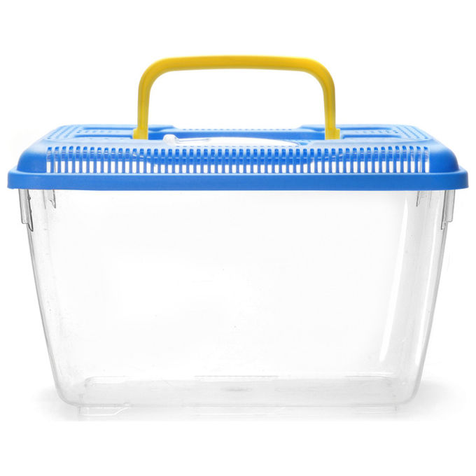 Acquafriend Acquario trasportino in plastica per pesci 14 l Colori Assortiti