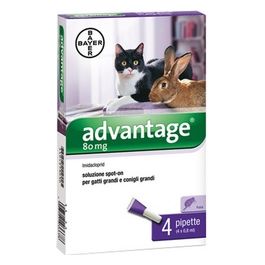 Advantage Soluzione Spot On per Gatti e Conigli 80mg Confezione 4 Pezzi