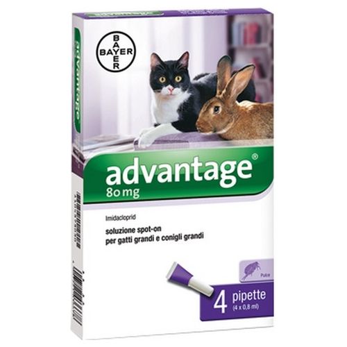 Advantix Advantage Soluzione Spot On per Gatti e Conigli 80mg Confezione 4 Pezzi