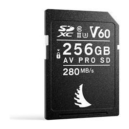 Scheda di Memoria V60 Pro Black 256Gb