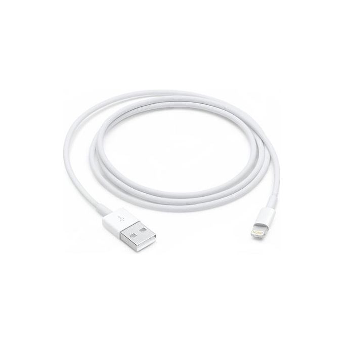 Apple Cavo USB a Lightning 1 metro bianco per iPad/iPhone/iPod