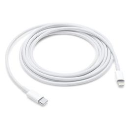Apple Lightning to Usb Cable 2mt