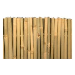 Arelle Master Bambu 100X300Cm