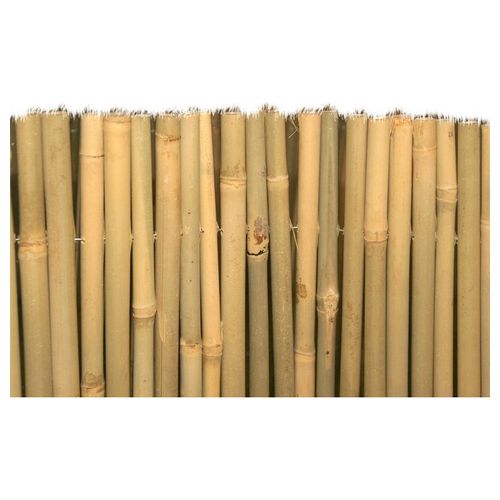 Arelle Master Bambu 100X300Cm