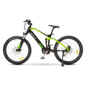Argento E-bike Performance Pro Nero/Verde