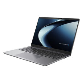 ExpertBook P3 PM3406CKA-NZ0021X Notebook 14'' Grigio
