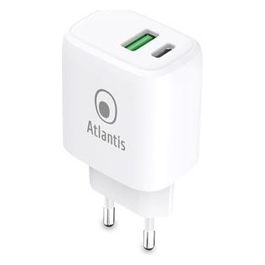 Alimentatore AC a Doppia Presa Type-C e Usb 20W