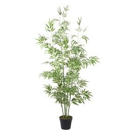 Bamboo artificiale in Vaso Nero 180 cm