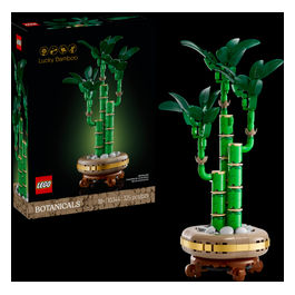Botanicals Bambù del buon auspicio 10344