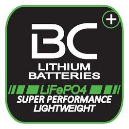 Battery Controller Batteria al litio BCB9-FP-WI