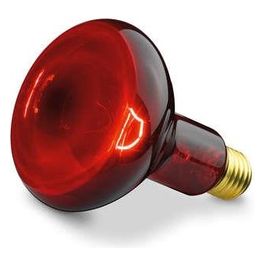 61451 Lampada di Ricambio per Lampada a Raggi Infrarossi IL 11