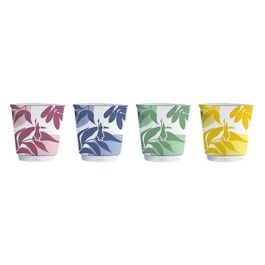 Set 4 Bicchierini Multicolor