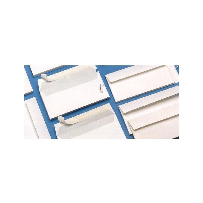 Blasetti Cf500 Buste Strip Senza Finestra 11x23cm