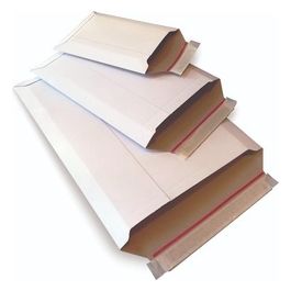 Confezione 20 Buste E-Commerce Pack ST C4