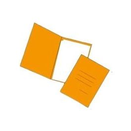 Confezione 50 Cartelle Smeraldo Arancio
