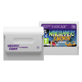 Evercade Windjammers Karnov & Friends, Console Avventura