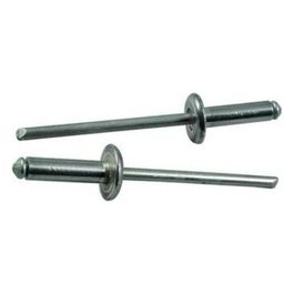 Blinky Rivetti Alluminio Testa Larga 1000 Pezzi 4x14mm