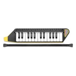Clavietta 25 Tasti Dotata di tubo Flessibile e Valigetta in Dotazione. Metodo Musicale Incluso