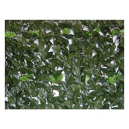 Siepe Evergreen Lauro 1.5x20mt