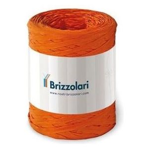 Brizzolari Rafia Sintetica 6802 100mt Arancione