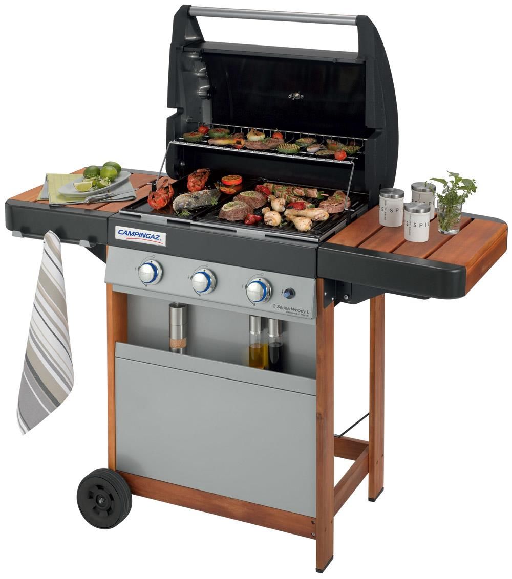 Ebay barbecue a gas usati