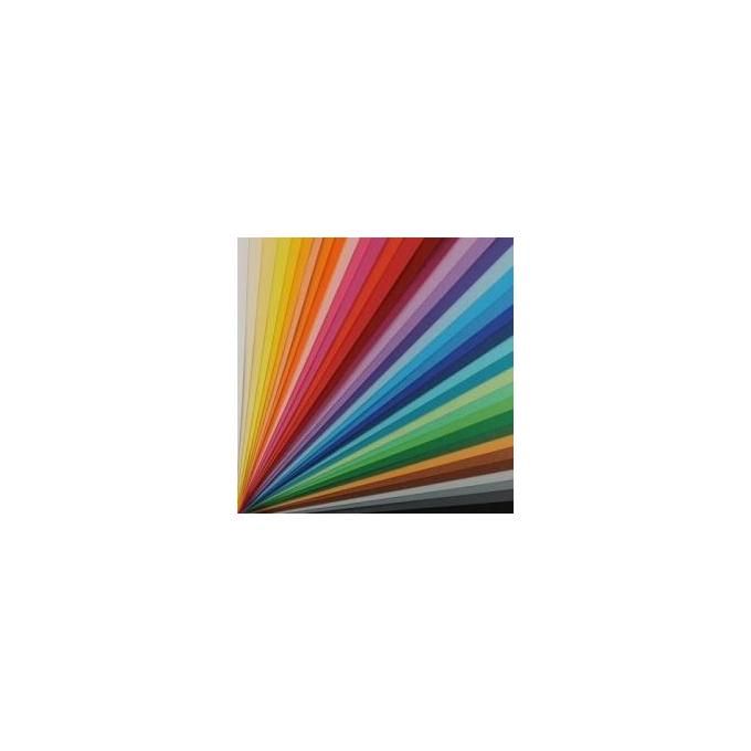 Canson Cf25ff Colorline 50x70 220 Crema