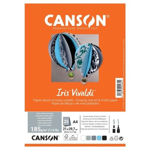 Canson Confezione 25 Fogli Iris Vivaldi A4 240g/m² Colori Assortiti Grigio