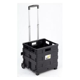 Carrello Trasporto Con Cassa In Plastica Pieghevole Portata Max 25 Kg