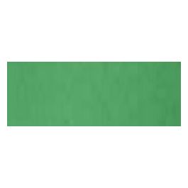 Cartotecnica Favini 10 Bristol Cartoncino Verde 200gr 70x100cm