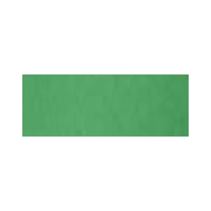 Cartotecnica Favini 10 Bristol Cartoncino Verde 200gr 70x100cm