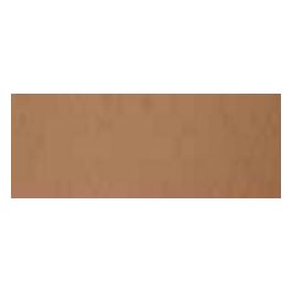 Cartotecnica Favini 10 Bristol Cartoncino Marrone 200gr 70x100cm