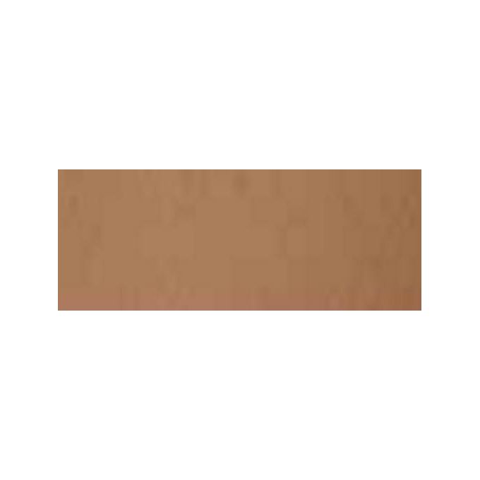 Cartotecnica Favini 10 Bristol Cartoncino Marrone 200gr 70x100cm