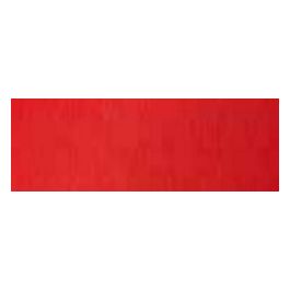 Cartotecnica Favini 10 Bristol Cartoncino Rosso Fuoco 200gr 70x100cm