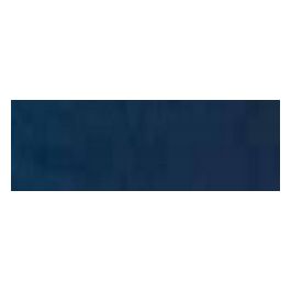 Cartotecnica Favini 10 Bristol Cartoncino Blu Cobalto 200gr 70x100cm