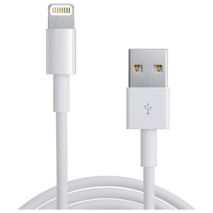 Apple Cavo da Lightning a USB 2mt - Bulk