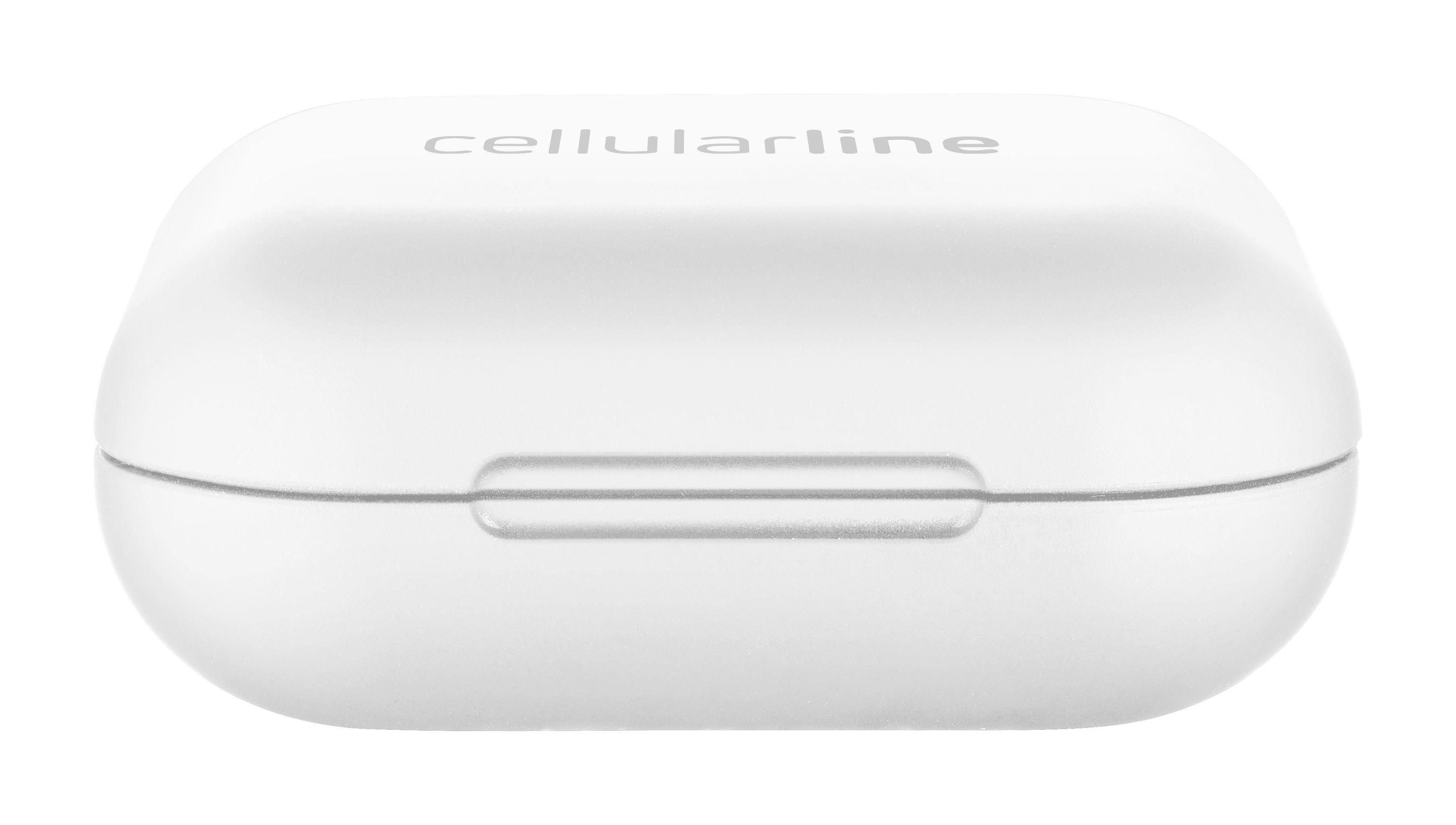 Cellular Line Java Auricolari True Wireless con Custodia di | Yeppon