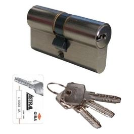 Cilindro Inf.yale 79,0-29,5-49,5 N0a310-17-0 cisa