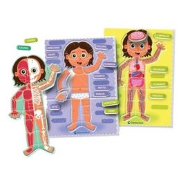 Gioco Educativo Sapientino Baby Montessori Il Corpo Umano