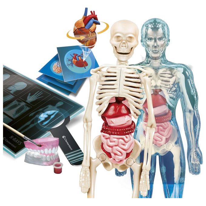 Image of Clementoni Gioco Educativo Scienza e Gioco Anatomia Super