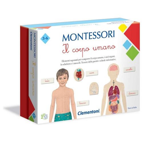 Montessori Il Corpo Umano