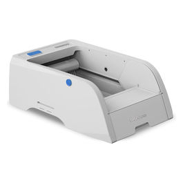 Lettiera Autopulente per Gatti Grigia