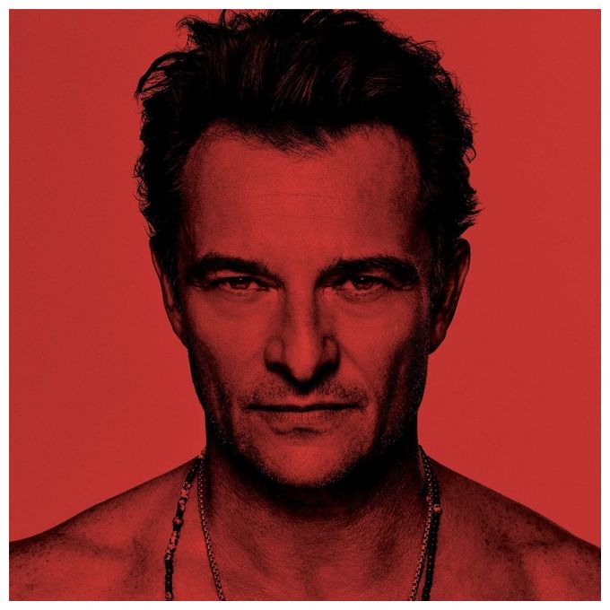 David Hallyday J'ai Quelque Chose A Vous Dire CD