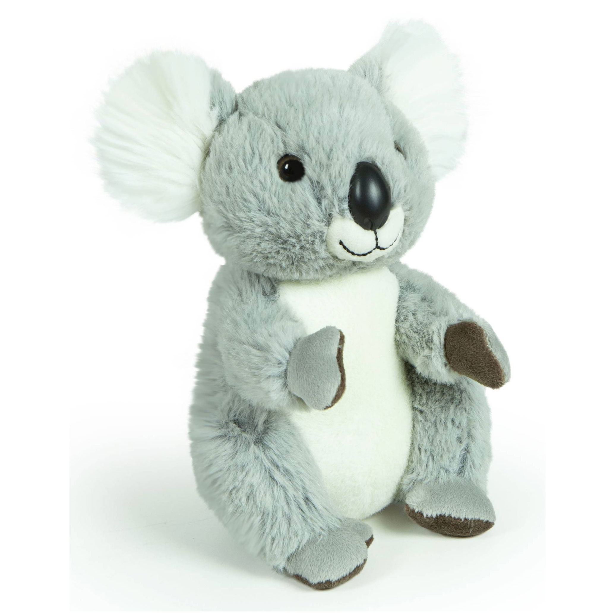 Decar Morbidelli Koala Nico