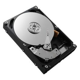 161-BBRX Disco Rigido Interno 3.5" 8Tb SAS