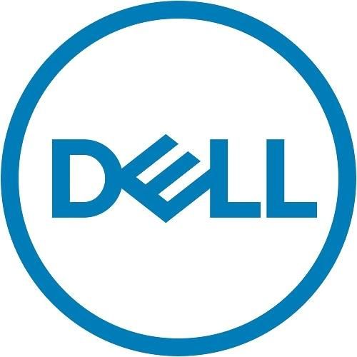 Dell 385-BBKK Memoria Flash