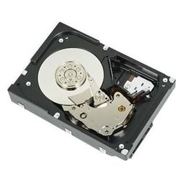 400-AUPW Disco Rigido Interno 3,5" 1Tb Serial ATA III