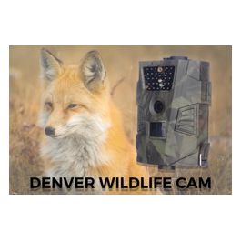 Denver WCT-5001 Wildtelecamera Cmos 1920x1080 Pixel Visione Notturna Mimetico