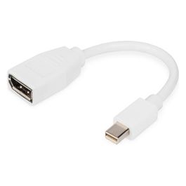 Digitus Cavo Adattatore Displayport Mini Dp - Dp