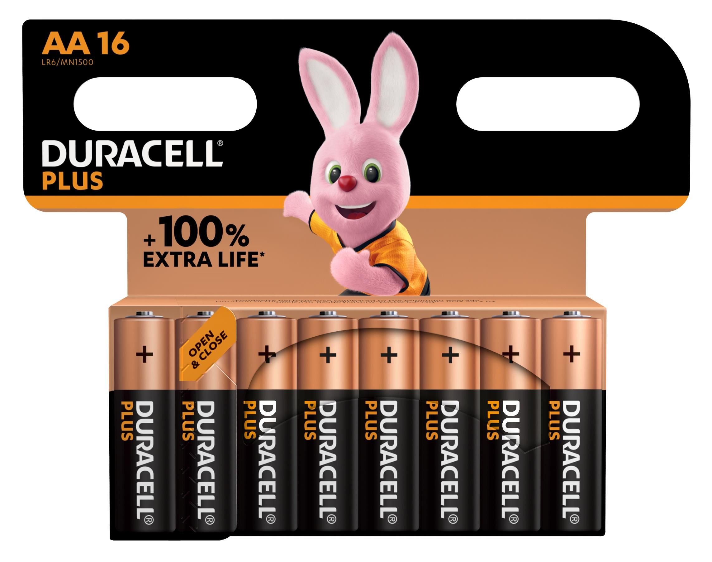 Duracell Plus 100 AA
